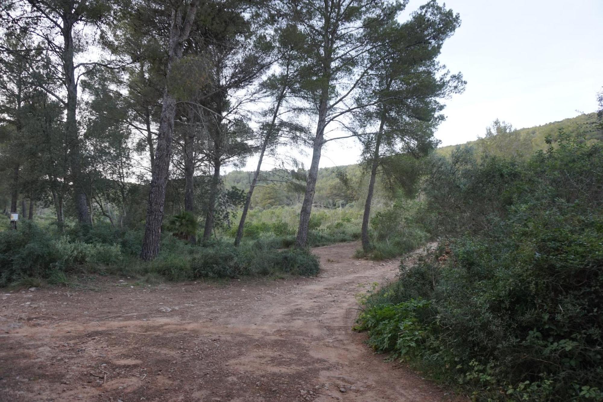 Chalet Font De Sa Cala Exteriér fotografie